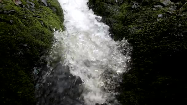 Cascada en un pequeño arroyo de montaña, el agua corre a través de una gran grieta en la roca de basalto y las burbujas crean agua lechosa a nivel . — Vídeos de Stock