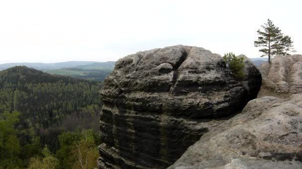 Frühlingshafter nebliger Abend im reizvollen Naturfelsenimperiumpark Sächsische Schweiz. — Stockvideo