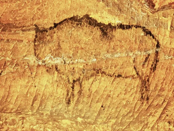 砂岩洞窟の中で子供のアート抽象的な。バイソンの砂岩壁、先史時代の画像のコピーのカーボン ブラック ペイント. — ストック写真