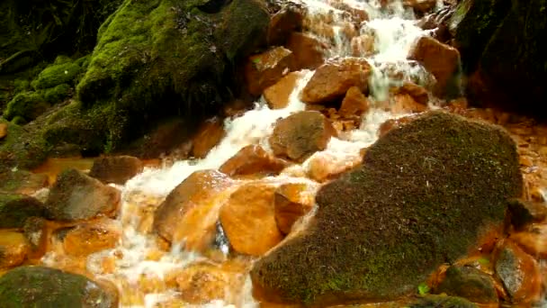 Cascades in rapid stream of mineral water. Red ferric sediments on big boulders between green ferns. — Stock Video