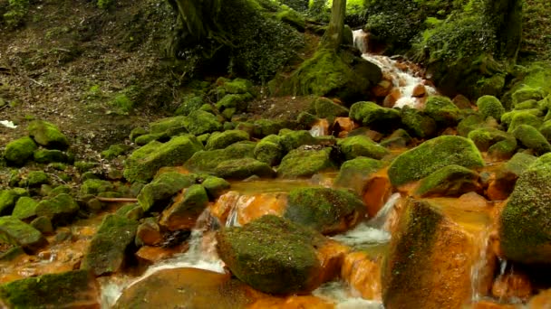Cascate in un flusso rapido di acqua minerale. Sedimenti ferrici rossi su grossi massi tra felci verdi . — Video Stock