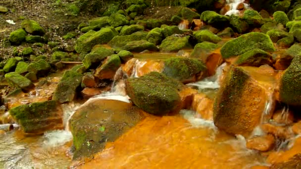 Cascatas em fluxo rápido de água mineral. Sedimentos férricos vermelhos em grandes rochas entre samambaias verdes . — Vídeo de Stock