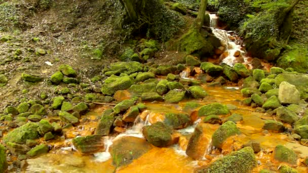 Cascades in snelle stroom van mineraalwater. rode ijzer(III) sedimenten op grote rotsblokken tussen groene varens. — Stockvideo
