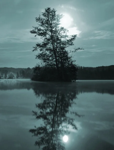 Fullmoon night view to island with tree above water level. Full moon behind the abandoned tree — Stock Photo, Image