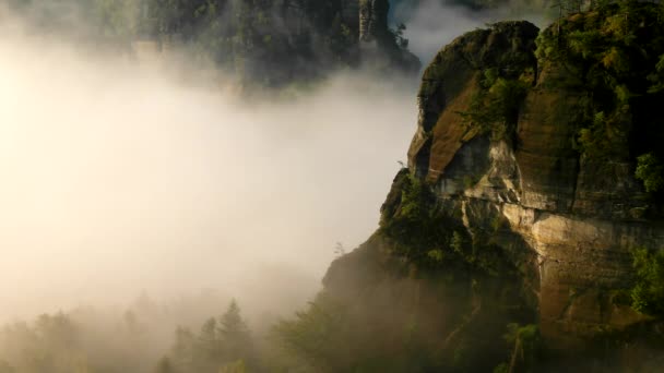 Солнечный весенний восход солнца в красивом парке Саксонской Швейцарии. Песчаник пород увеличен из зеленого соснового леса, легкий ветер трясется с листьями . — стоковое видео
