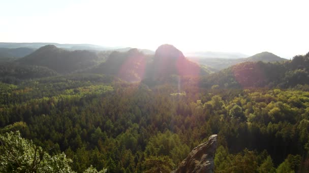 Sunny spring sunrise in a beautiful valley of Saxony Switzerland park. Sandstone rocks increased from green pine forest, gentle wind is shaking with leaves. — Stock Video