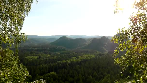 Soleado amanecer de primavera en un hermoso valle del parque Sajonia Suiza. Rocas de arenisca aumentadas del bosque de pinos verdes, viento suave tiembla con hojas . — Vídeos de Stock