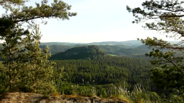 Soleado amanecer de primavera en un hermoso valle del parque Sajonia Suiza. Rocas de arenisca aumentadas del bosque de pinos verdes, viento suave tiembla con hojas . — Vídeos de Stock