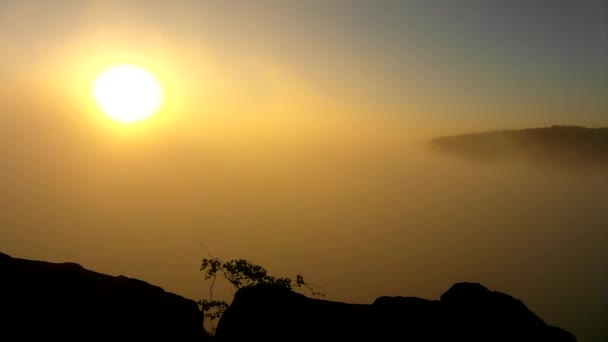 Hot spring misty sunrise in a beautiful rocky park. Sandstone peaks increased from fog, the fog is colored to blue, gold and orange. — Stock Video