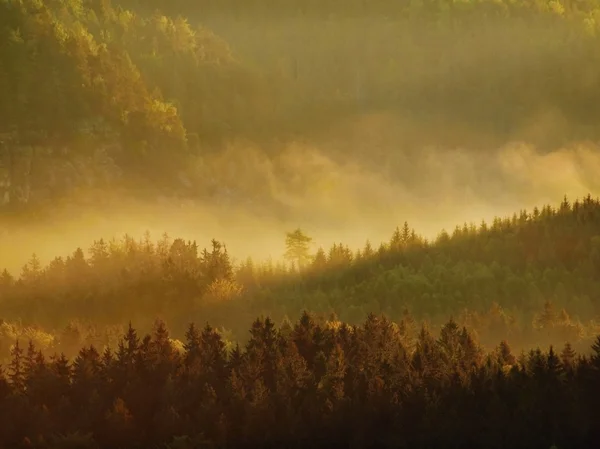 Paisaje brumoso, frío amanecer brumoso en un hermoso valle del parque de Sajonia Suiza. Picos de arenisca aumentados de niebla, la niebla se colorea a oro y naranja . — Foto de Stock