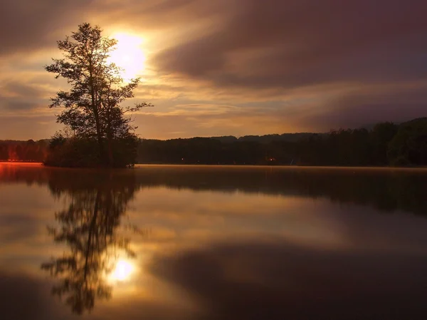 Fullmoon night view to island with tree above water level. Full moon behind the abandoned tree — Stock Photo, Image