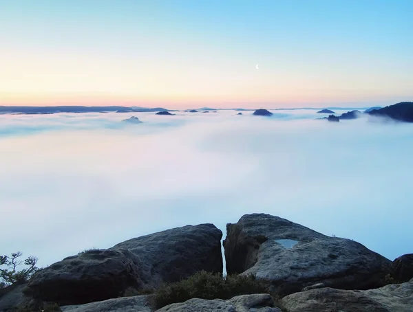 Magnifique paysage brumeux, printemps bleu rose lever de soleil brumeux dans une belle vallée de la Saxe Suisse parc. Collines augmentées par le brouillard . — Photo