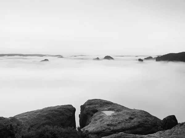 Λευκό ηλιόλουστο πρωί μεταξύ δασικοί λόφοι με βαρύ νέφος. Τεράστια σύννεφα της ομίχλης καλυφθεί valley. Κορυφές των λόφων και δέντρων αυξήθηκε από λευκή ομίχλη βαμβακερή. — Φωτογραφία Αρχείου