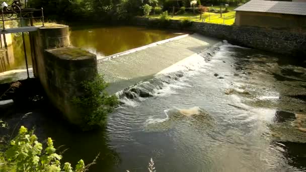 El agua fría del pequeño río fluye sobre un pequeño vertedero pedregoso. Pequeña flor de agua en flor debajo del vertedero en ondulaciones de agua fangosa. Paredes pedregosas de vertedero — Vídeo de stock