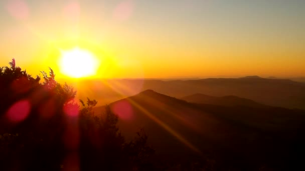 Bekijken via beuken takken met zonsondergang en diepe vallei bossen hieronder — Stockvideo