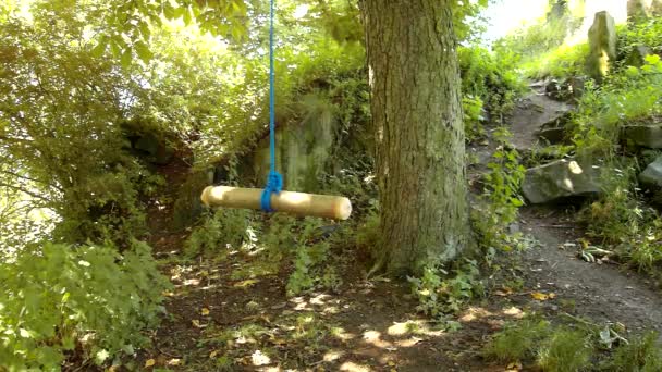 Swinging empty children's swing on old tree. Sunny spring morning, fresh green bushes and trees in background. — Stock Video