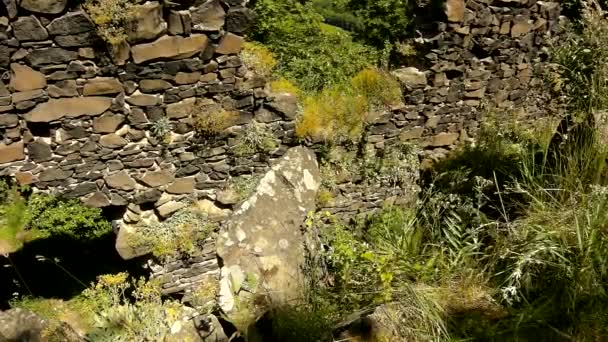 L'homme grimpe sur une colline rocheuse. Deux mains sur la pierre et dans l'herbe. Journée ensoleillée d'été . — Video