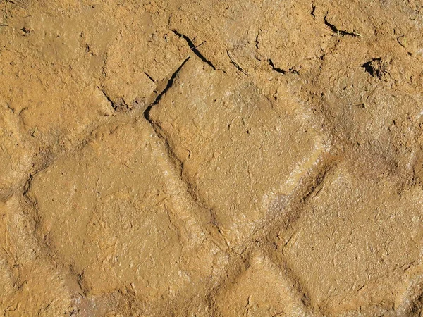 Dry  cracked clay of wheat field. Dusty ground with deep cracks — Stock Photo, Image