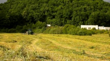 büyük traktör Torna ve ot hasadı. Traktör saman makinesi tarım arazileri çayır üzerinde çalışan ile. haymaking hills aşağıda şehir dışında. Yaz rüzgarlı akşam.