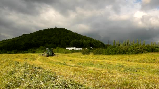 Grote groene trekker oogst gras, truck met hooi maker werkt op de weide in landbouwgrond. hooien op het platteland onder heuvels. warme zomerdag. — Stockvideo