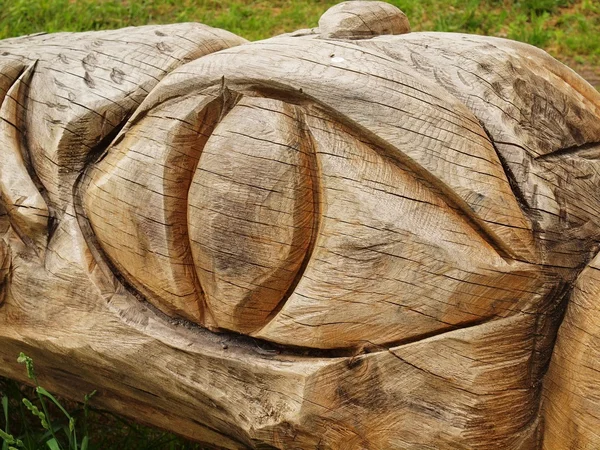 Detail of wooden sculpture dragon eye, head in children playground, woodcarving public art. — Stock Photo, Image