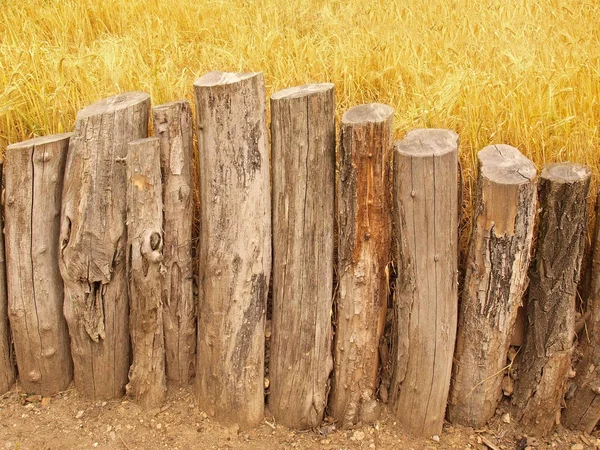 Old wooden palisade made from natural trunks, old wooden stockade, wooden fence, stony ground — Stock Photo, Image