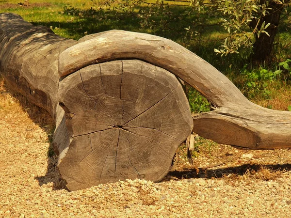 Paliçada horizontal de madeira natural feita de troncos naturais, cerca de madeira entre a trilha e grama — Fotografia de Stock