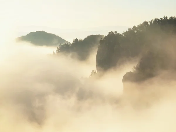 Deep misty valley in rocky park full of heavy clouds of dense fog. Sandstone peaks increased from foggy background, the Sun rays change its colors. — Stock Photo, Image