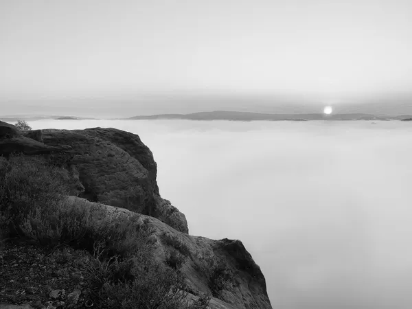 Paesaggio autunnale coperto da fitta nebbia. Vista sulla profonda valle nebbiosa nel parco nazionale tedesco, in Europa. Immagine in bianco e nero . — Foto Stock