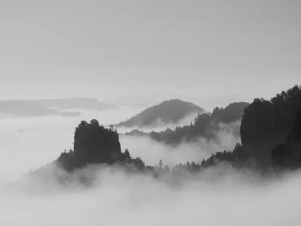 Autumn landscape covered by heavy fog. View into deep misty valley in German national park, Europe. Black and white picture. — Stock Photo, Image