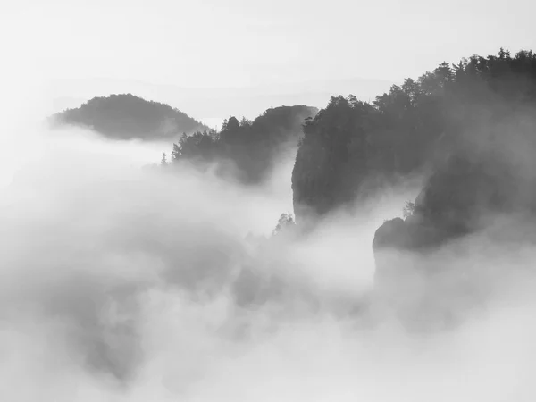 Autumn landscape covered by heavy fog. View into deep misty valley in German national park, Europe. Black and white picture. — Stock Photo, Image