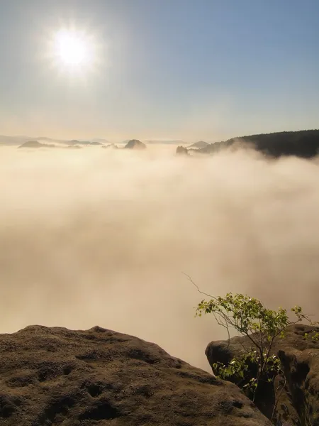 秋の国。青いオレンジ色の霧の朝重い切れ間の霧深い渓谷。霧、暗い丘と水平線上のホットの黄色の太陽から増加した砂岩のピーク. — ストック写真
