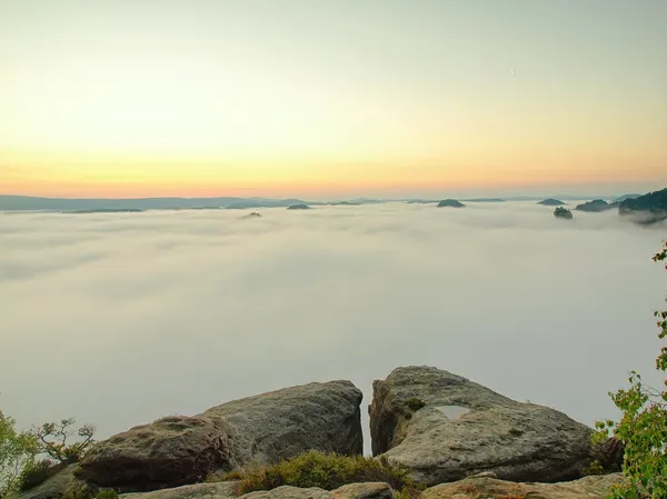 濃霧発生の壮大な風景、ザクセン スイス公園の美しい谷の春青ピンク霧日の出。遠い丘の霧から増加しました。 — ストック写真