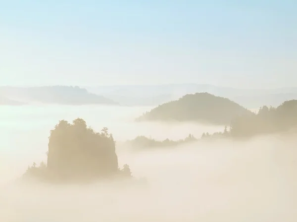 Τοπίο μαγευτικό γεροπαράξενος, απαλό μπλε ροζ ομιχλώδη Ανατολή σε μια όμορφη κοιλάδα της Σαξονίας Ελβετία πάρκο. λόφους που αυξήθηκε από ομίχλη. — Φωτογραφία Αρχείου