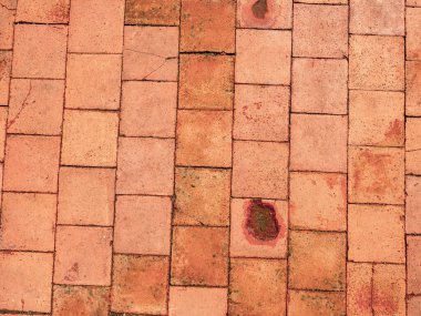 Clay antik tuğla döşeme döşemeleri. Kosumber Şatosu, Çek asıllı tarihi kaldırım.