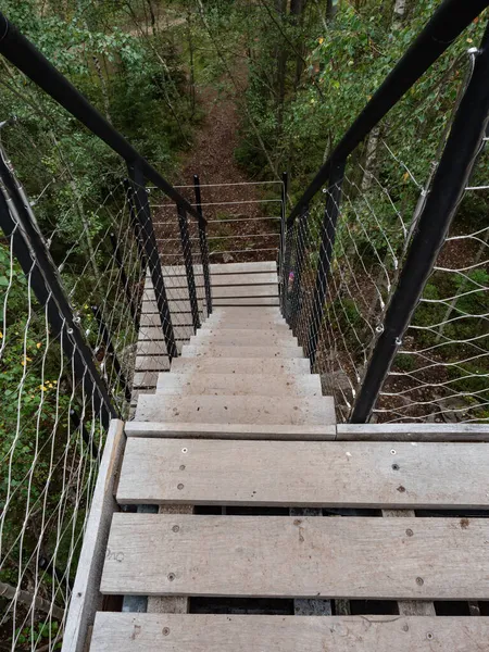 Trottoir Bois Pour Protection Nature Dans Parc Longue Passerelle Planches — Photo