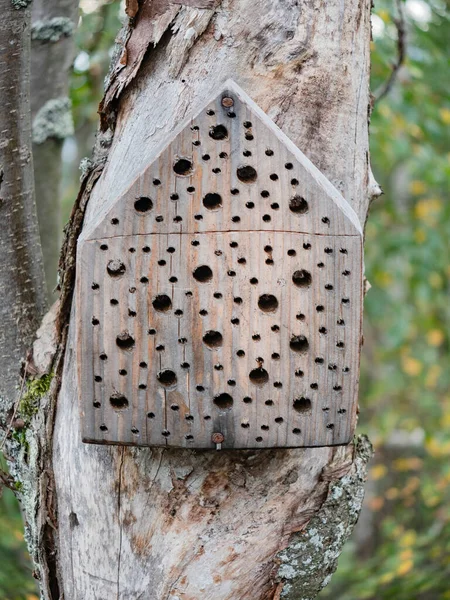 Tahtadan Yapılmış Arılar Için Bir Yuva Doğaya Yardım — Stok fotoğraf