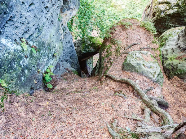 Czech Republic ココリン保護区のユニークな浸食された砂岩岩公園 — ストック写真