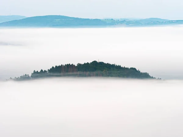 濃い森の上の霧の中で緑のトーンの丘 秋の霧の朝 — ストック写真