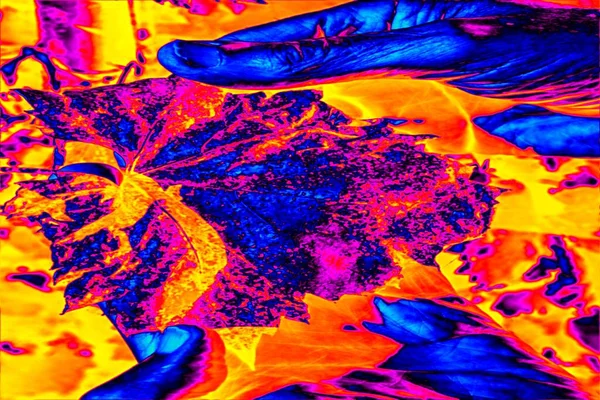 Infraröd Termosiktskärm Som Visar Strålning Löv Och Gräs Värmekamera Temperaturstrålningsskanning — Stockfoto