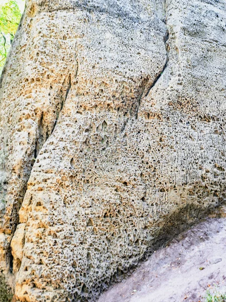 Sandstensklippor Bland Träd Skogen Kokorin Området Tjeckien — Stockfoto