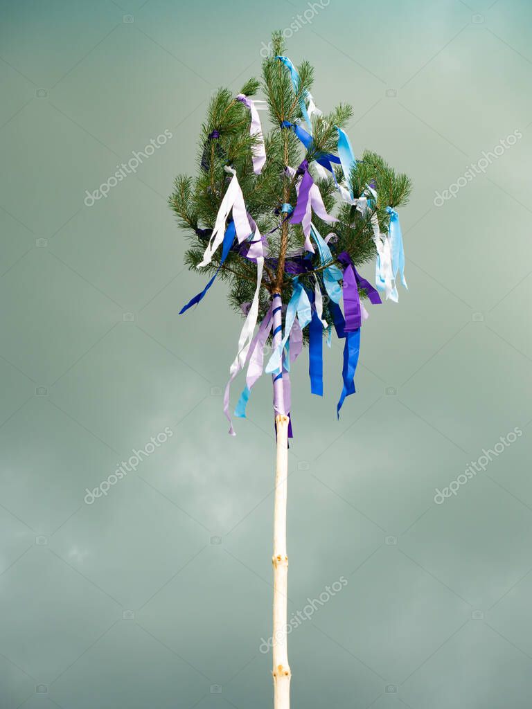 Maypole de madera alta tradicional erigido con cintas y bandera- Mayo ...