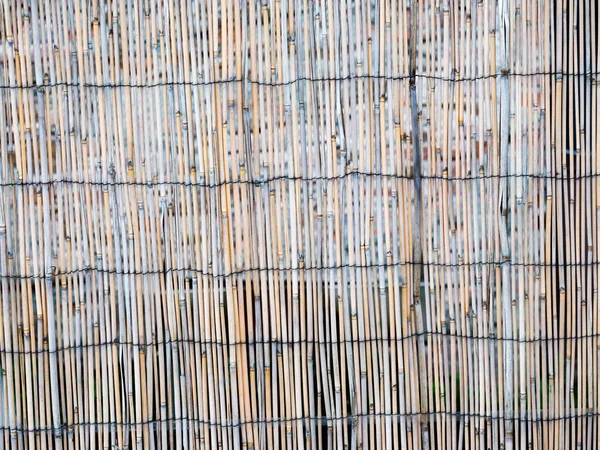 Old Bamboo Trunks Tied Garden Fence Traditional Natural Material Originating — Stock fotografie