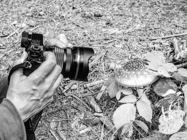 Woman Hand Taking Picture Mushrooms Camera Big Lens Black White — Foto de Stock