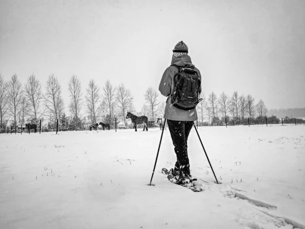 Mujer Agradable Viaje Aventura Invierno Raquetas Nieve Nieve Fresca Polvo — Foto de Stock