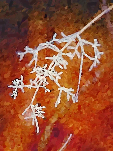 Grass Covered Frost Autumn Watercolor Paint — Stock Photo, Image
