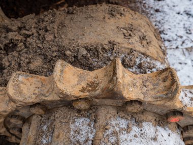 Paslanmış dişli metal traktör tırtılının bir parçası..