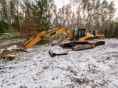 Kazıcı yeni gelişmeler ve yol çalışmaları için ormanı temizliyor. Orman işleri için kepçe. Orman ve turba endüstrisi için ağır güç makinelerinin izini sürdüm..