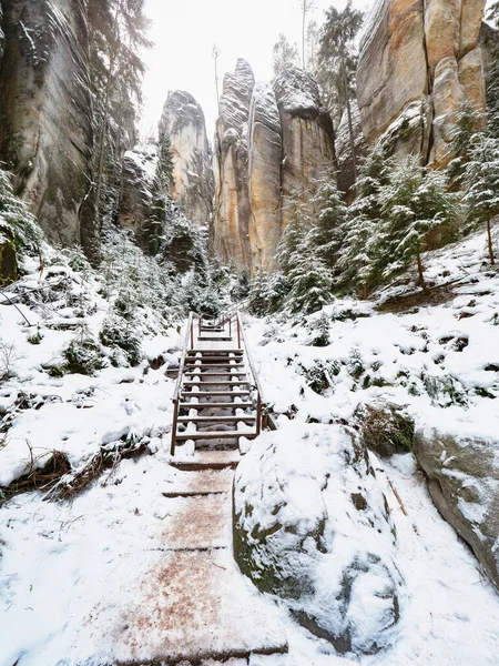Skalnatý Labyrint Adršpašského Skalního Parku Vánoční Návštěva Turistika Mezi Pískovcovými — Stock fotografie