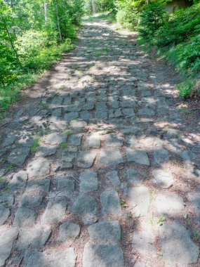 Historical old cobble stone way lined by stony milestones in deep forest. Once a rich estate belonging to the Benedictine cluster of Broumov, Czechia